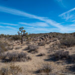 “911开奖”背后隐藏的惊人真相揭秘 8og1rvfb