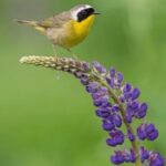 《3d开奖吧》最新开奖信息与号码预测 dqjkpxj