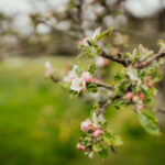 “几时开奖呀”最新开奖时间详细查询 wxva0pblnr